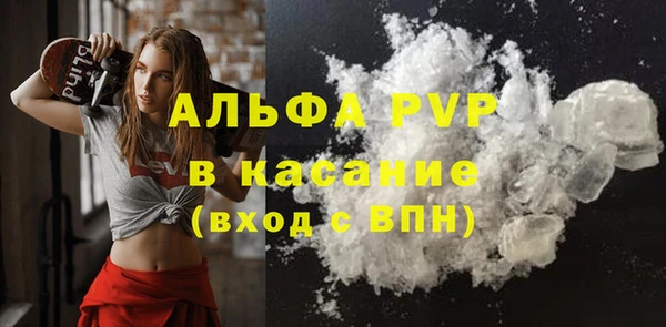 винт Абаза
