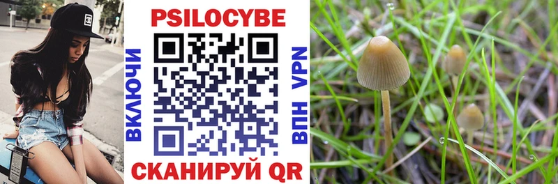 Псилоцибиновые грибы ЛСД  маркетплейс формула  Кохма  купить  цена 